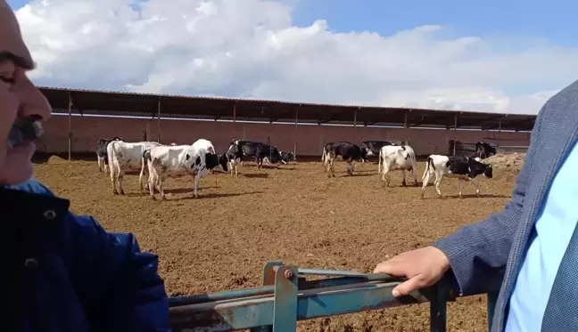 Hayvancılıkta yaşanan sorunlar gündeme geldi