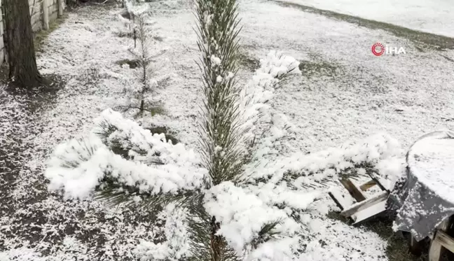 Ağrı'da kış manzarası göz kamaştırıyor