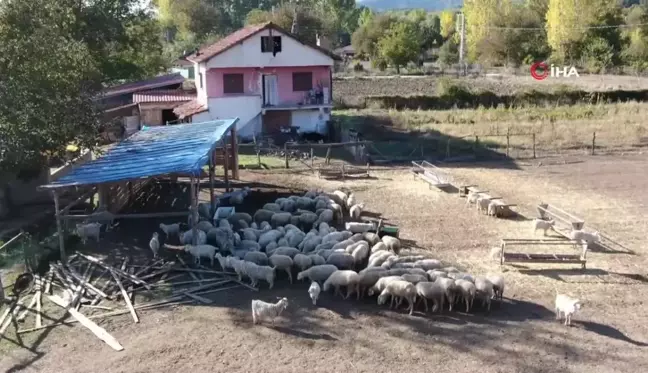 Şehir hayatını bırakıp köye yerleşti: Devlet desteği ile gelirini üç katına çıkardı