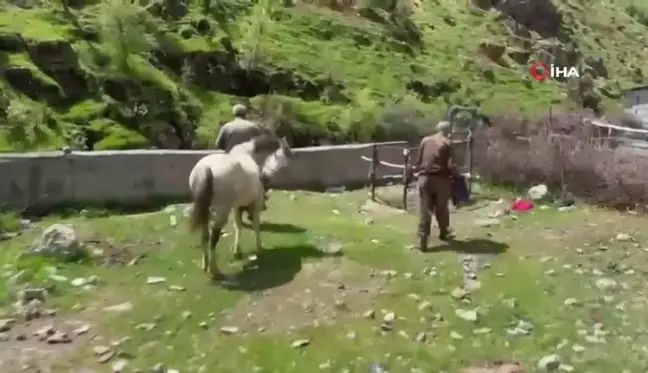 20 yıldır nalbantlık yapan usta, at ve katırların ayak bakımlarını yapıyor