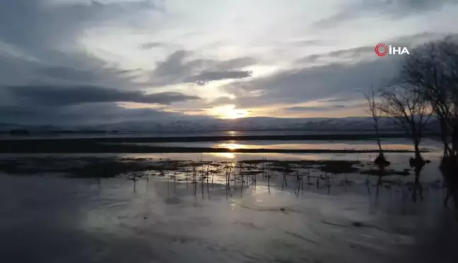 Ardahan'da nehir taştı, ova göle döndü