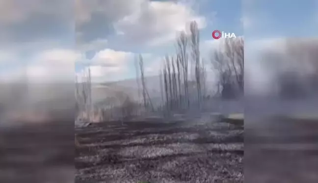 Çankırı'da arazi yangını