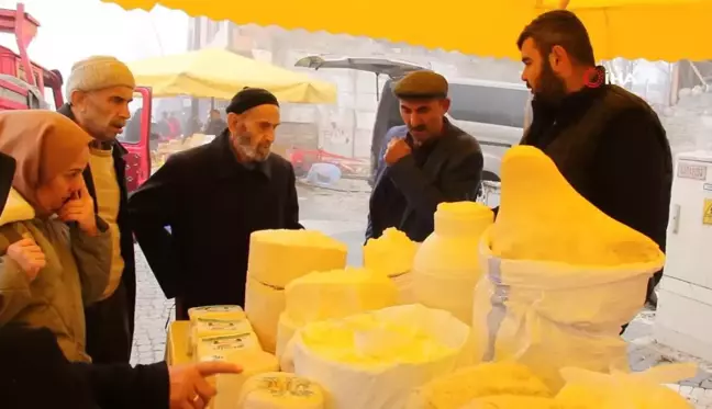 Giresun Yaylalarında Üretilen Peynirler Satışa Sunuldu