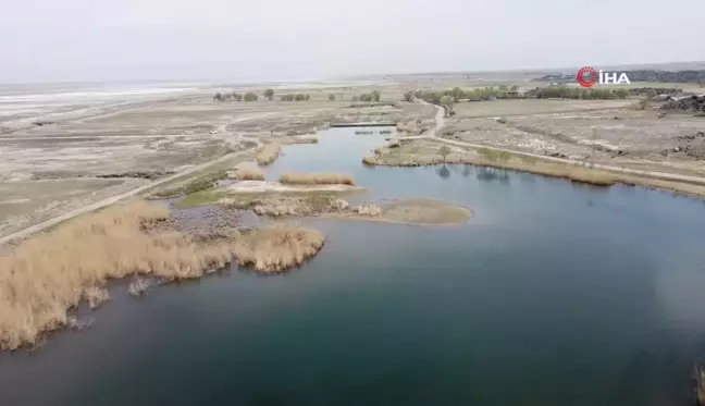 Ağrı Dağı Milli Parkı'ndaki doğal yaşam dron ile görüntülendi