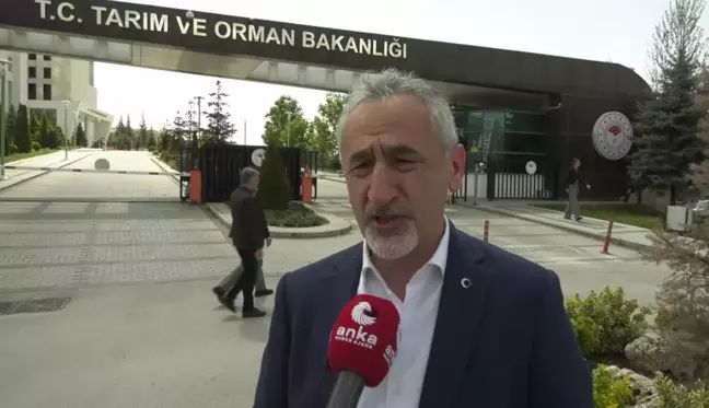 CHP Milletvekili Mustafa Adıgüzel, Kahverengi Kokarca Böceği İstilasını Tarım Bakanlığına Taşıdı