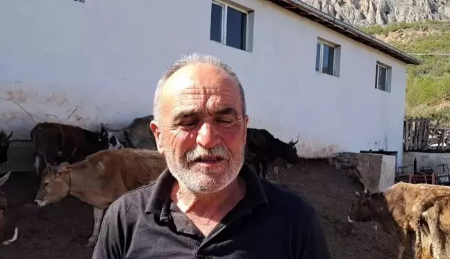 Artvin'de hayvancılık zor günler yaşıyor