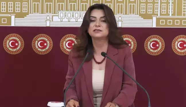 Gülüstan Kılıç Koçyiğit: Tahir Elçi'nin katilleri adalet önünde hesap vermeli