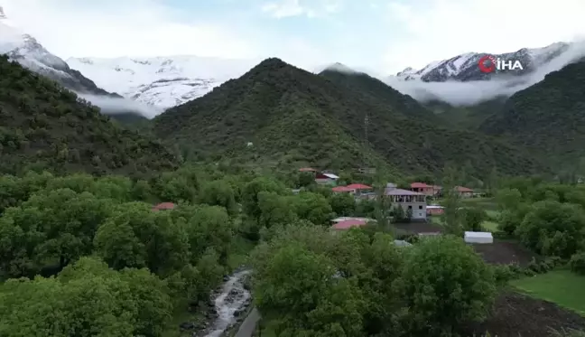 Şırnak Dağları Karla Kaplandı