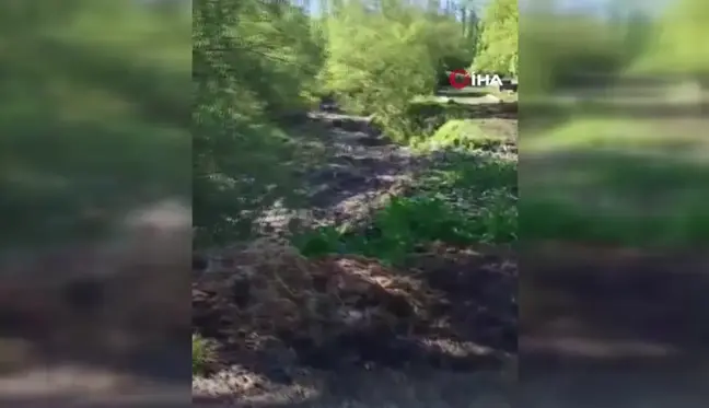 Oltu'da gölet taştı... Bahçe ve araziler su altında kaldı