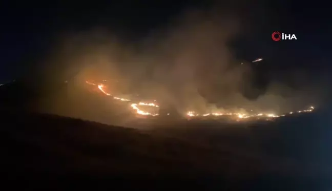 Şanlıurfa'da ormanlık alandaki yangın söndürüldü