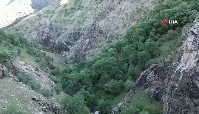 Şırnak'ta keşfedilen şelale ve kanyon vadi doğaseverleri ağırlıyor