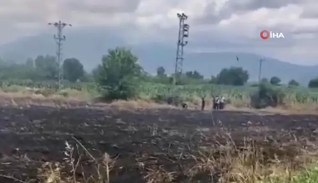 Osmaniye'de Buğday Tarlasında Yangın Çıktı