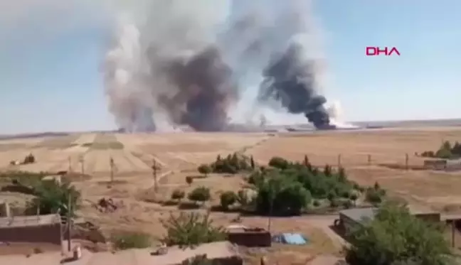 Mardin'de çıkan yangınlar kontrol altına alındı