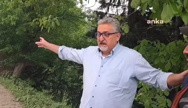 Artvin Şavşat'ta Sahara Milli Parkı'nda Ağaç Kesimine Tepki: 