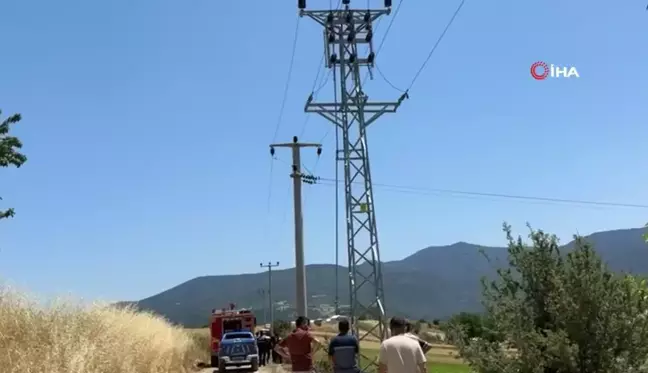 Trafodan çıkan kıvılcımlar arpa ekili tarlayı yaktı