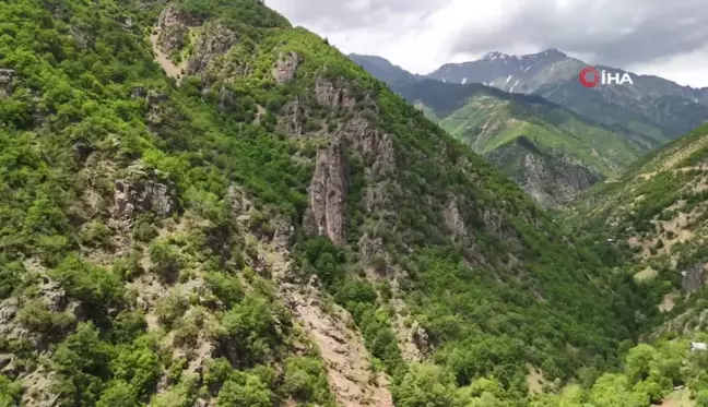 Artvin'in gizli hazinesi: Kilayet Manastırı