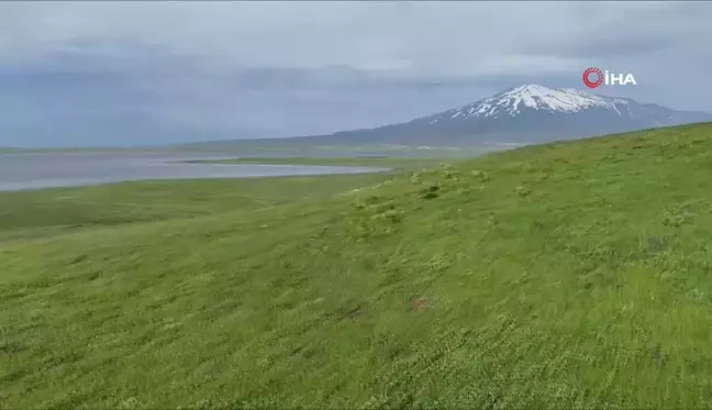 Sütey Yaylası ve Süphan Dağı'nda bulut geçişleri görsel şölen oluşturdu