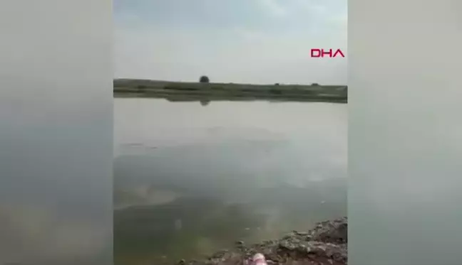 Dicle Nehri'nde kaybolan kadının cansız bedeni bulundu