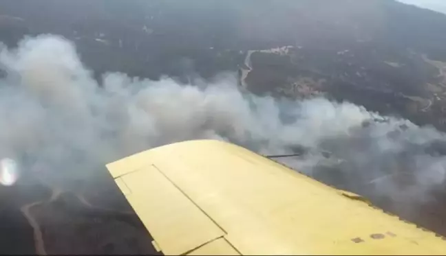 Manisa Gölmarmara'da Orman Yangını