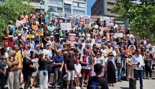 Sahipsiz Sokak Hayvanlarına Yönelik Ötenazi İçeren Kanun Teklifine Tepki