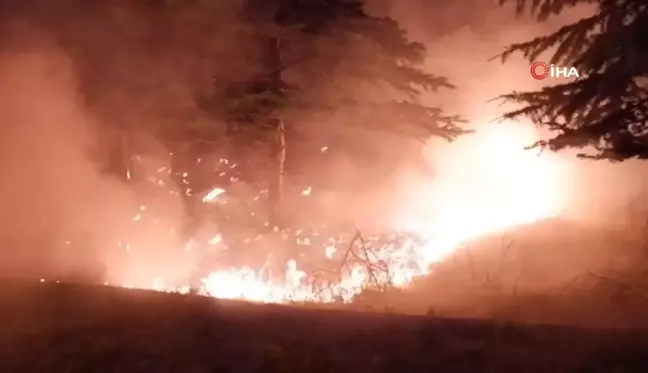 Ağaçlık alanda çıkan yangın evlere sıçramadan söndürüldü