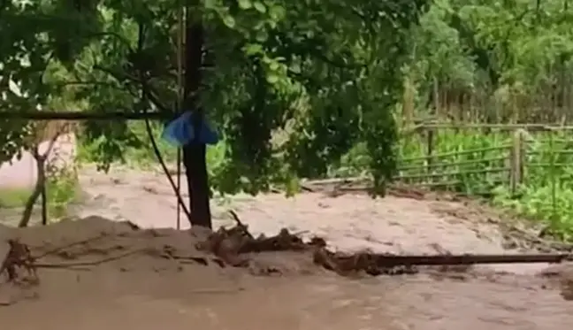 Artvin'de aşırı yağışlar tarım arazilerine ve köy yollarına zarar verdi