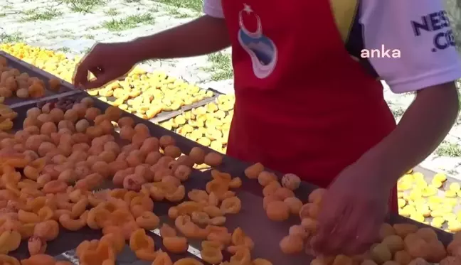 Iğdır'da Kadın Kooperatifi Doğa Dostu Üretim Yapıyor