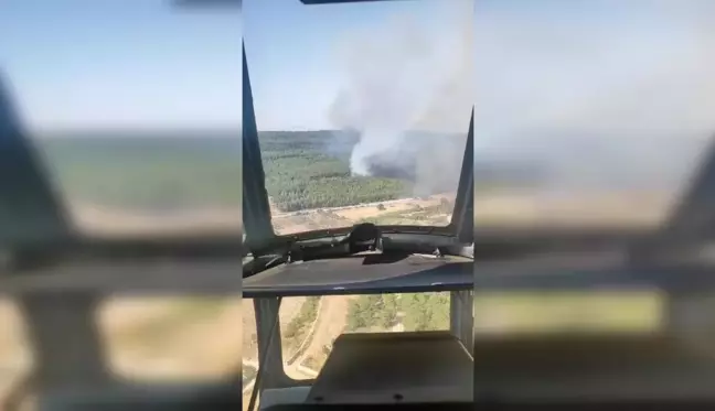 İzmir'in Menderes ilçesinde ormanlık alanda yangın çıktı