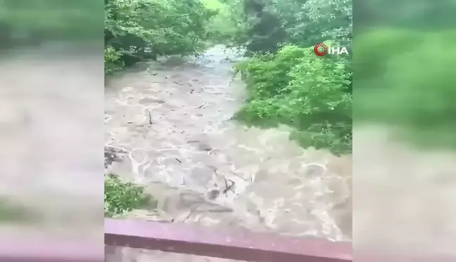 Gümüşhane'de sel sularıyla coşan derede cansız ayı görüntülendi