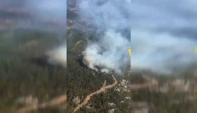 İzmir'in Bergama ilçesinde orman yangını çıktı