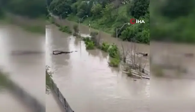 Kanada'da rekor yağışlar sonucu sokaklar ve evler sular altında kaldı