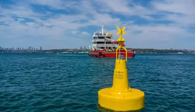 Marmara'daki deniz çayırları şamandıralarla korunacak