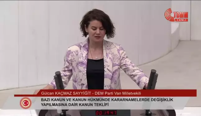 Dem Partili Sayyiğit: 