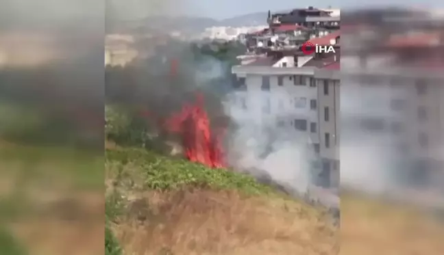 Sancaktepe'de ormanlık alanda yangın