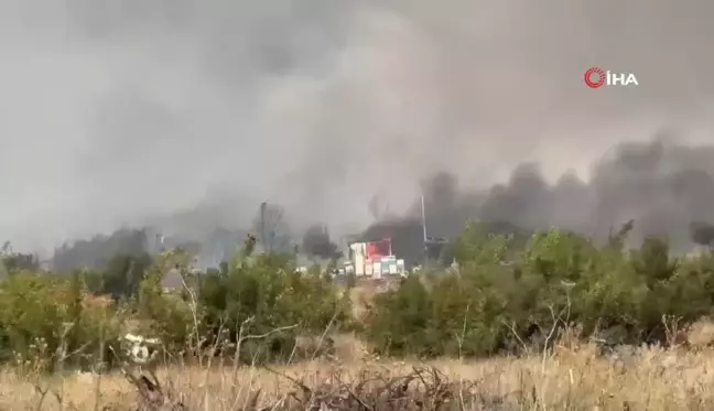 Bursa'da orman yangını