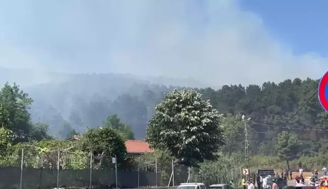 İstanbul Pendik'te Aydos Ormanı'nda Yangın Çıktı