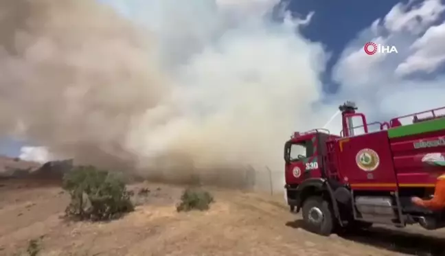 Bingöl'de çıkan orman yangınları söndürüldü