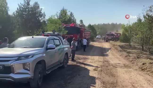 Kastamonu'daki orman yangını kontrol altına alındı