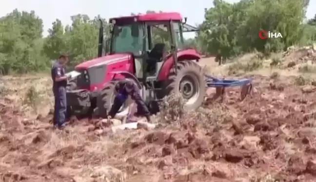 Tarla sürmeye giden çiftçi ölü bulundu