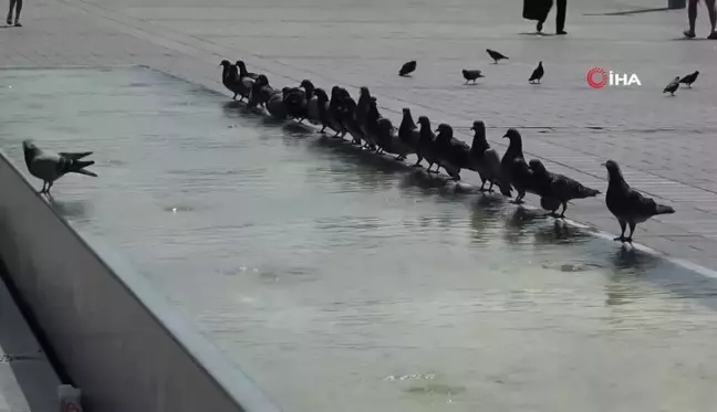 Taksim'de Sıcak Havada Zor Anlar