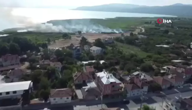 İznik Gölü kıyısındaki sazlıklarda yangın