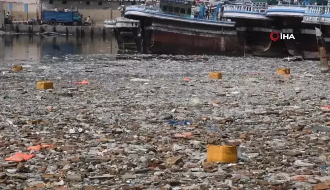 Pakistan'daki deniz kirliliği deniz yaşamı için 'ölü bölgeye' neden oldu