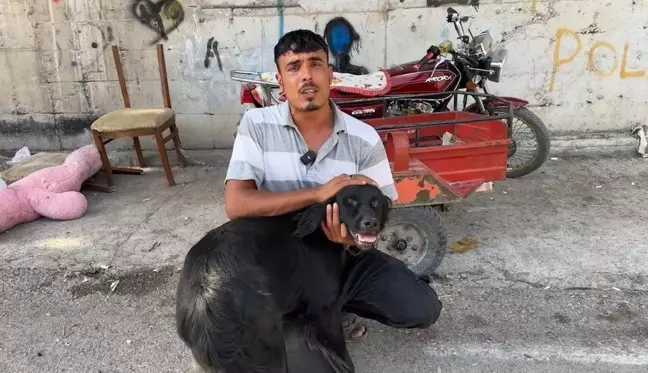 İskenderun'da Kamyonetin Arkasına Bağlanan Köpek Yerlerde Sürüklendi