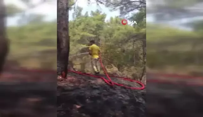 Antalya Kemer'de çıkan orman yangını kontrol altına alındı