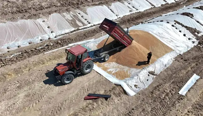 Toprak Mahsulleri Ofisi Hububat Alımlarına Devam Ediyor