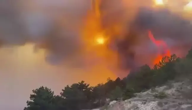 Bolu'nun Göynük ilçesinde yangın çıktı