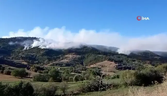 Bolu'da orman yangını 21'nci saatinde: Sabahın ilk ışıklarıyla havadan müdahale başladı