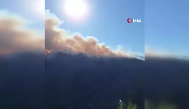 Bozdoğan'daki orman yangını için Muğla sınırında önlem alındı