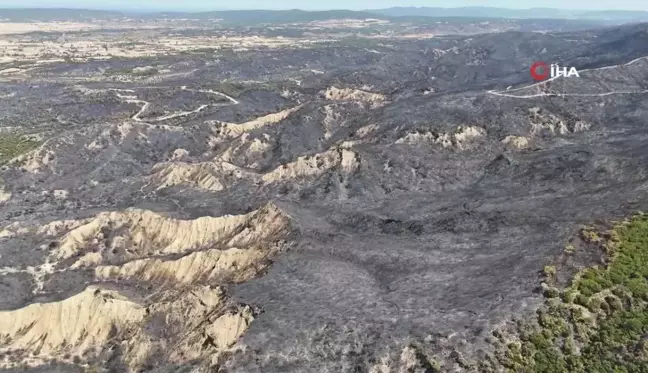 Tarihi Gelibolu Yarımadası'ndaki yangın sonrası soğutma çalışmaları devam ediyor