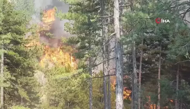 Karabük'teki orman yangını rüzgarın etkisiyle yayılıyor